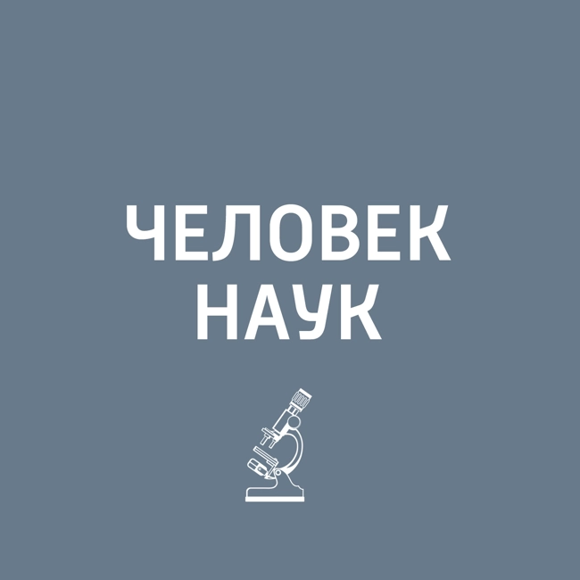Как формируется интеллект человека?