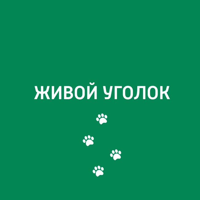 Приметы и суеверия, связанные с животными