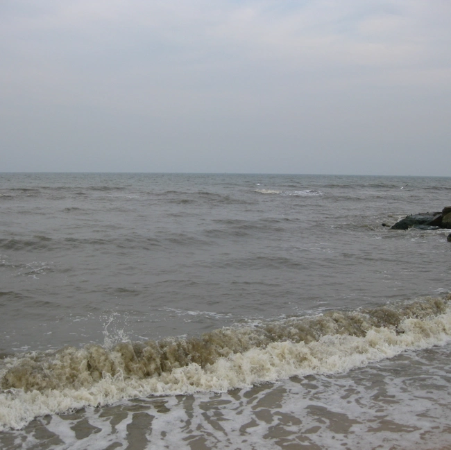 В воде не тонут, в огне не горят, не замерзают, выживают и размножаются…