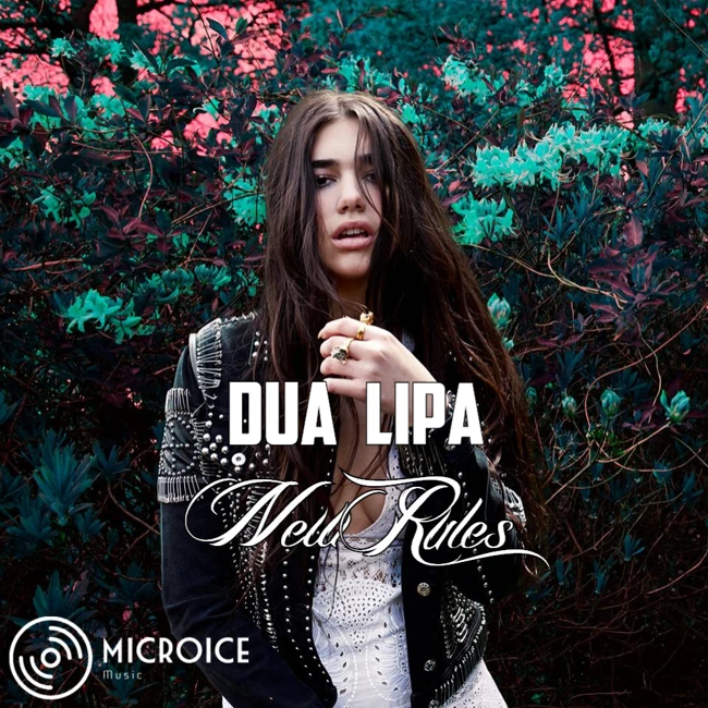 DUA LIPA -New Rules (MicroICe Music)
