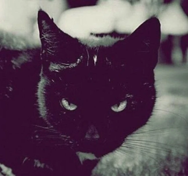 Atman - Angry Mix