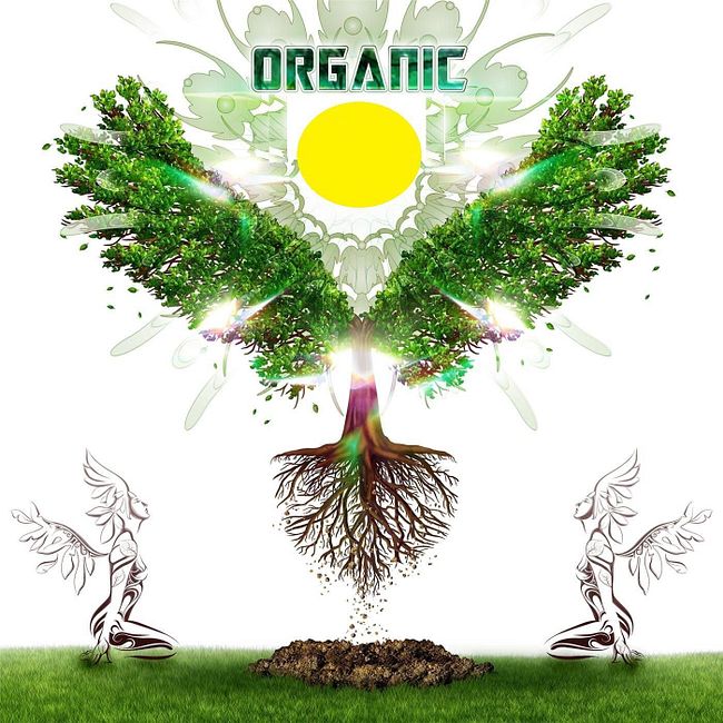 DJ Atman - Organic Mix