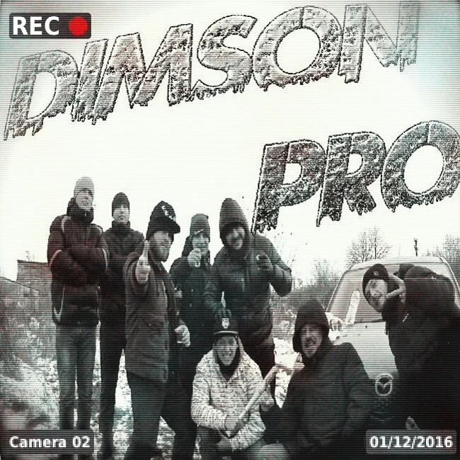 Сектор Газа - Дурак (cover from DimSon PRO)