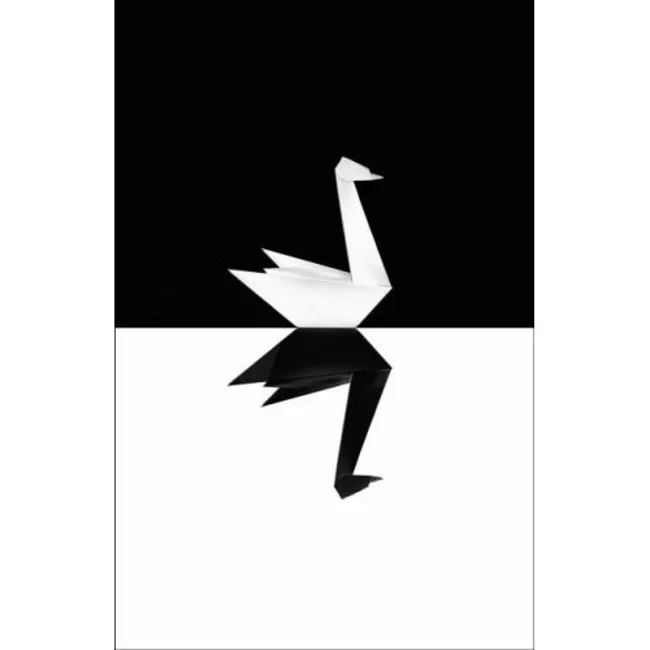 32й подкаст Solo На .Net — Черный Лебедь Swift (32)