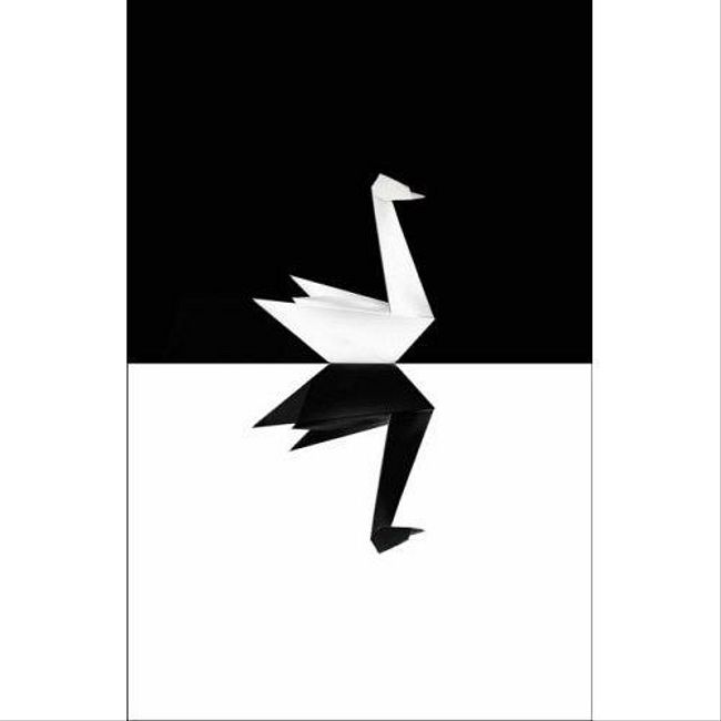32й подкаст Solo На .Net — Черный Лебедь Swift (32)