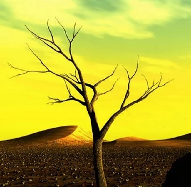 dissuade from learning to become (13black083)