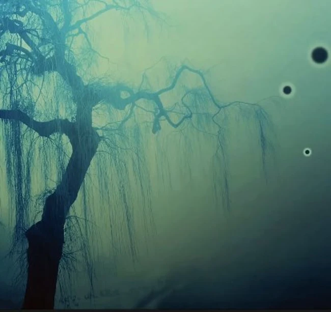where the willows never weep (13black087)