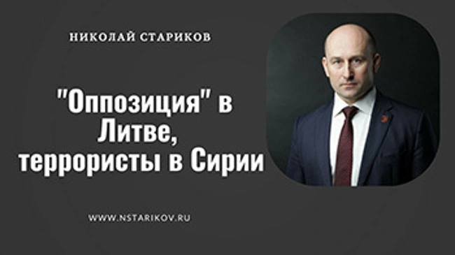 Николай Стариков: "Оппозиция" в Литве, террористы в Сирии