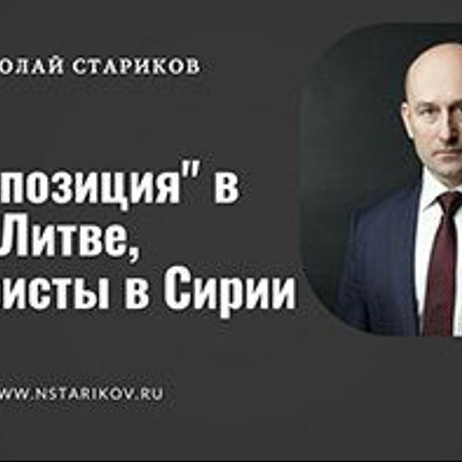 Николай Стариков: "Оппозиция" в Литве, террористы в Сирии