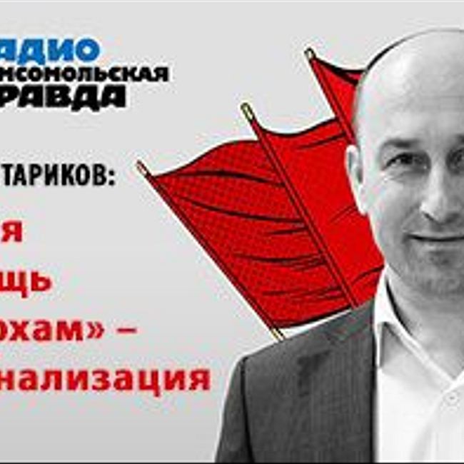 Николай Стариков: Лучшая "помощь олигархам" – национализация