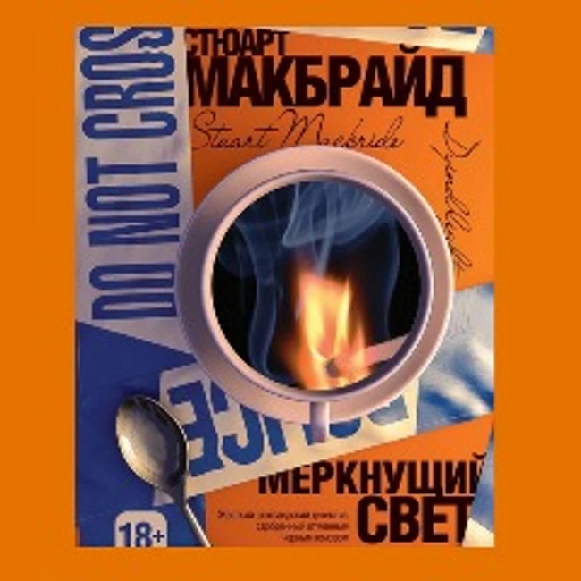 Стюарт Макбрайд — Меркнущий свет (Часть 18 из 21) (18)