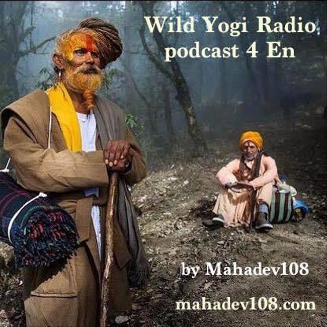 Wild Yogi Radio podcast 4 En (4)