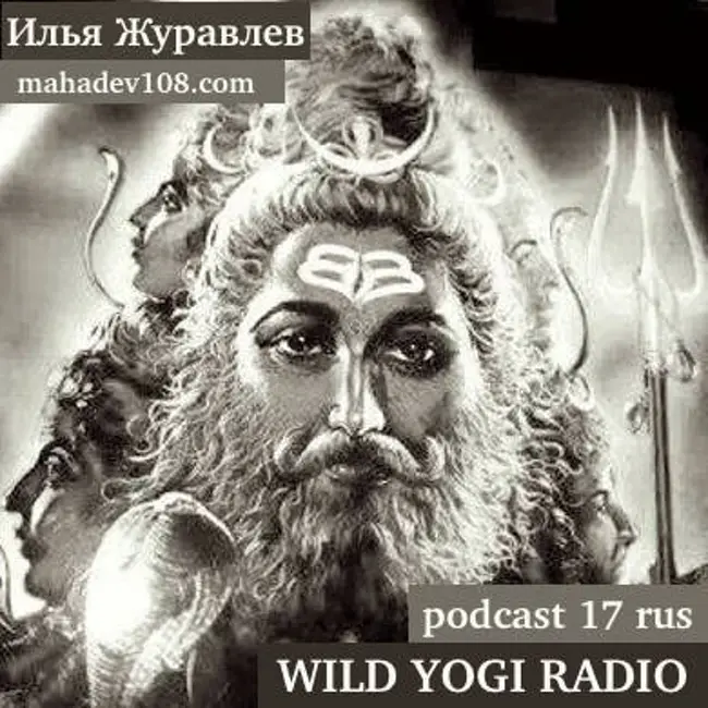 Wild Yogi Radio podcast 17 rus (17)