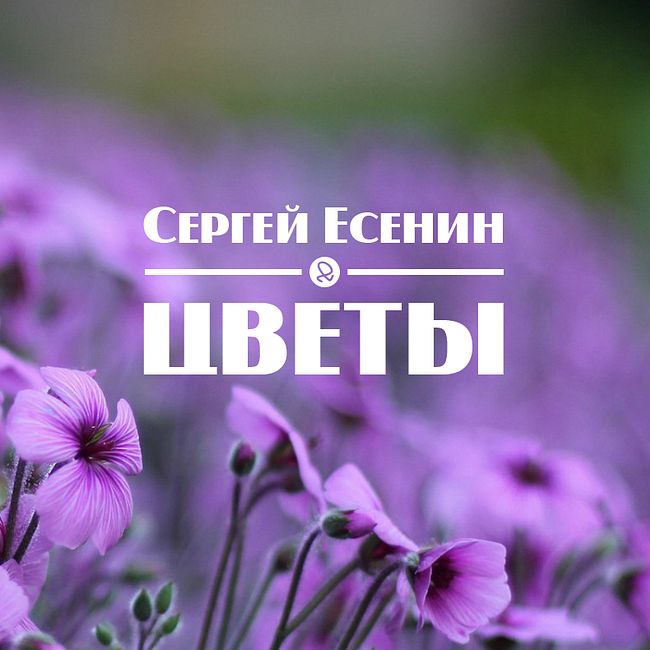 Сергей Есенин "Цветы"