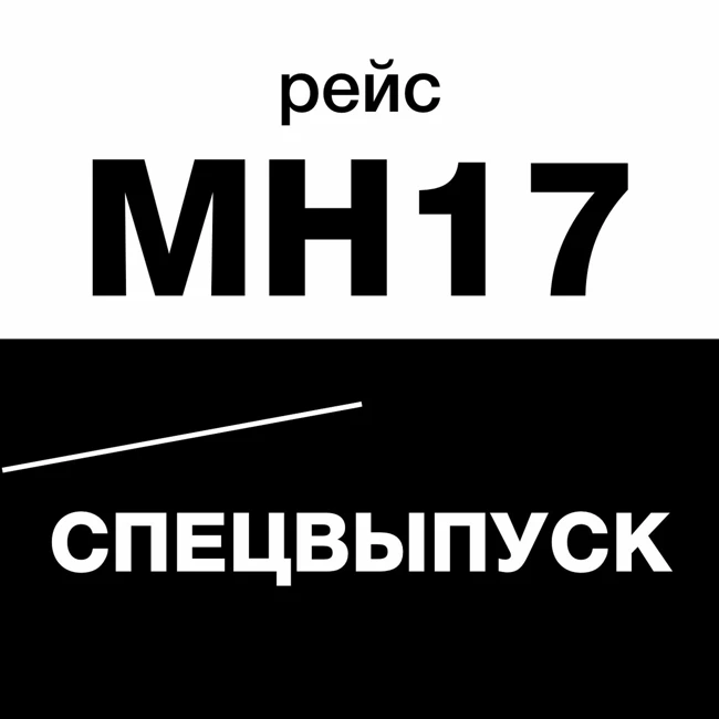 Пять лет гибели МН17: поиск истины и триумф постправды. Спецвыпуск «Новой газеты»