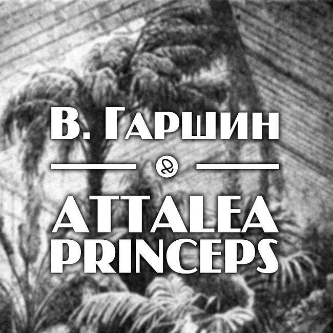 В. Гаршин "Attalea Princeps"