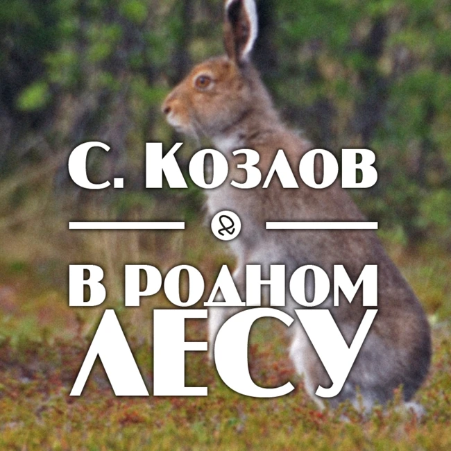 С. Козлов "В родном лесу"