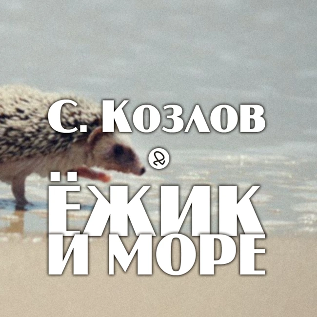 С. Козлов "Ёжик и море"