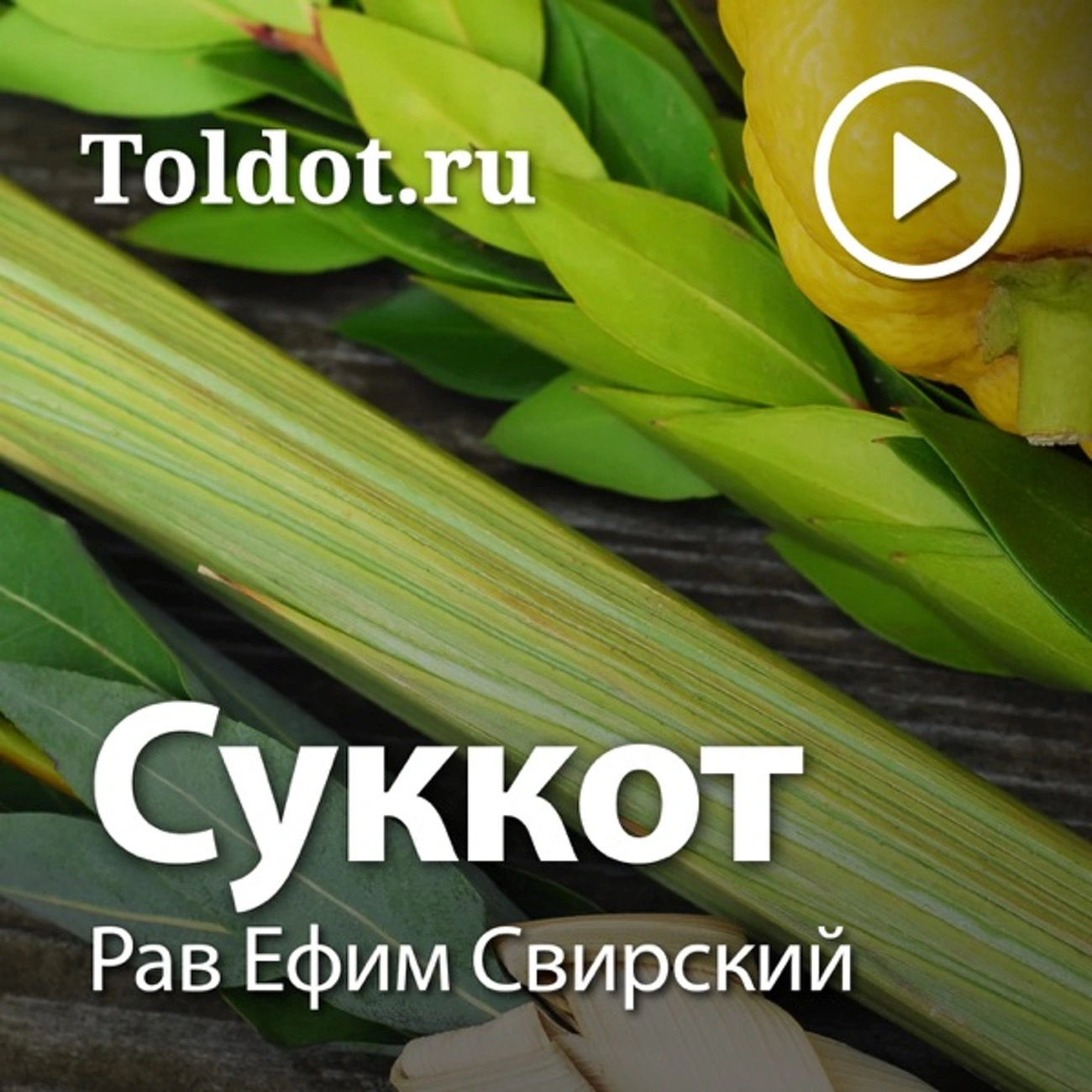 Рав Ефим Свирский — Суккот