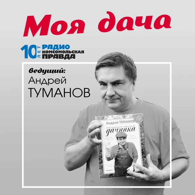 Сколько стоит построить загородный дом или дачу