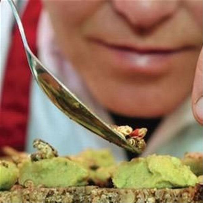 543. Britain's First Insect Restaurant Opens
