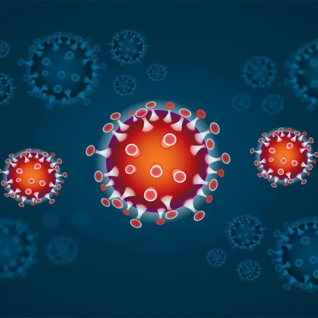 651. Coronavirus (COVID-19) Vocabulary