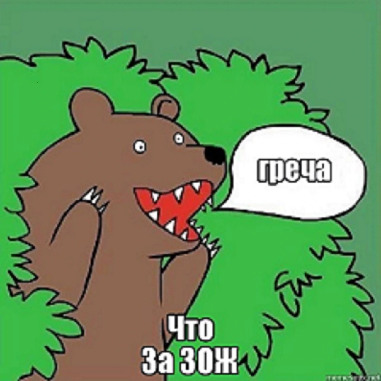 "Что за ЗОЖ"