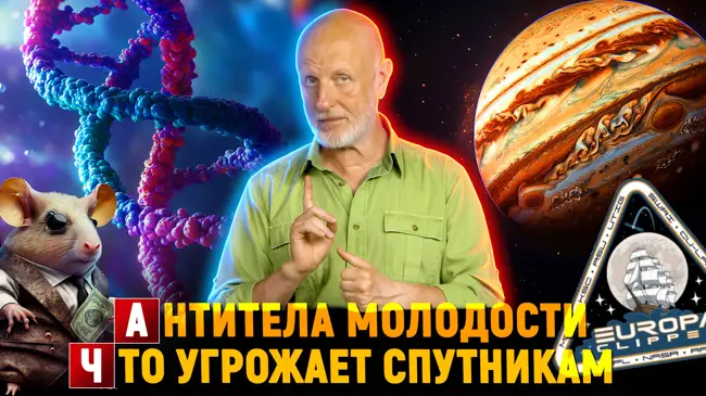 Космический залёт, средство от старости, львиные рекорды