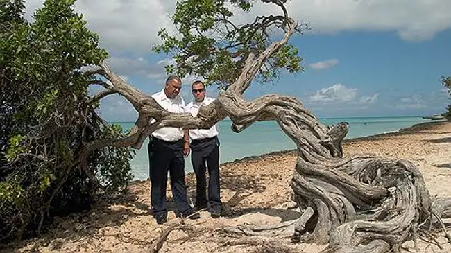 «"Монте-Карло" Карибского моря». Об острове Аруба