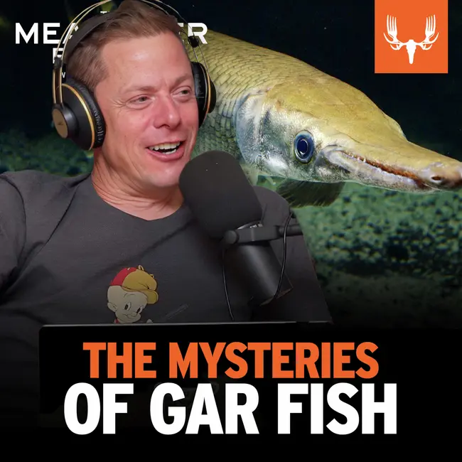 Ep. 793: The Mysteries of Gar Fish - слушать подкаст