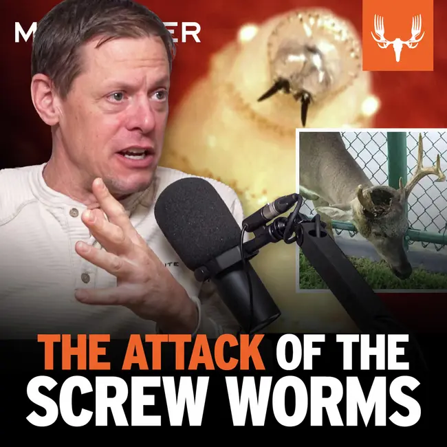Ep. 835: Attack Of The Screw Worms