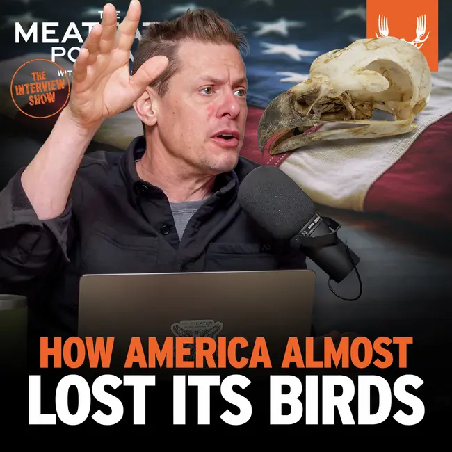 Ep. 848: How America Almost Lost Its Birds