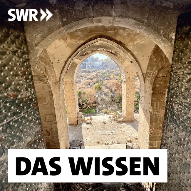 Weltkulturerbe im zerstörten Syrien – Retten, was übrig ist