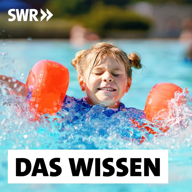 Vom Planschen zum Kraulen – Schwimmunterricht in Deutschland