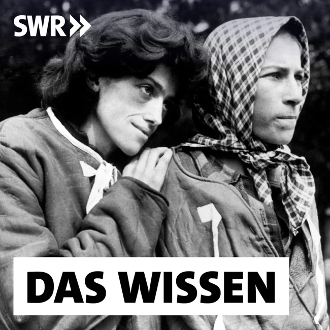 Traumata der NS-Zeit – Wie sie Kriegskinder und Enkel belasten