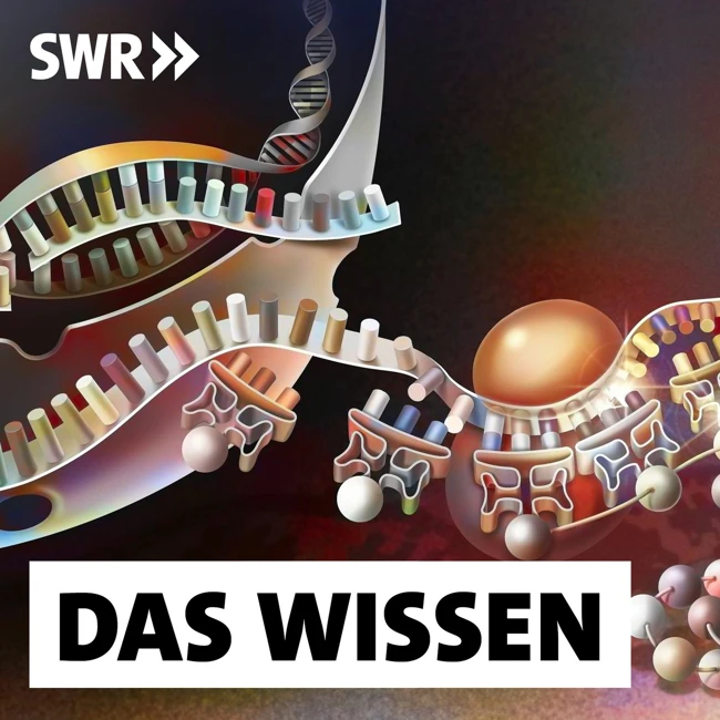 Epigenetik – Wie beeinflusst die Umwelt unsere Gene?