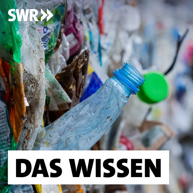 Die Plastikwende – Wie kann Kunststoff nachhaltig werden?