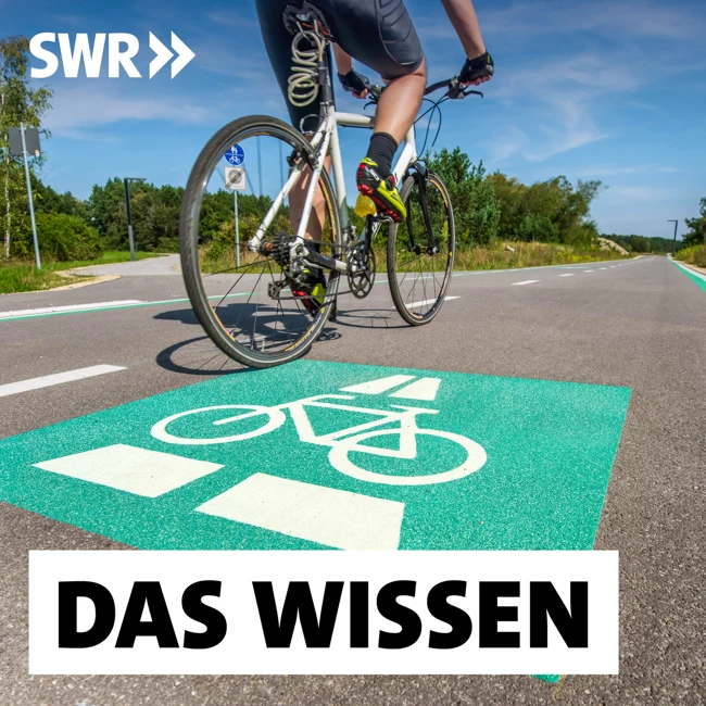 Wie Radfahren attraktiv wird – Sichere Wege, smarte Navigation