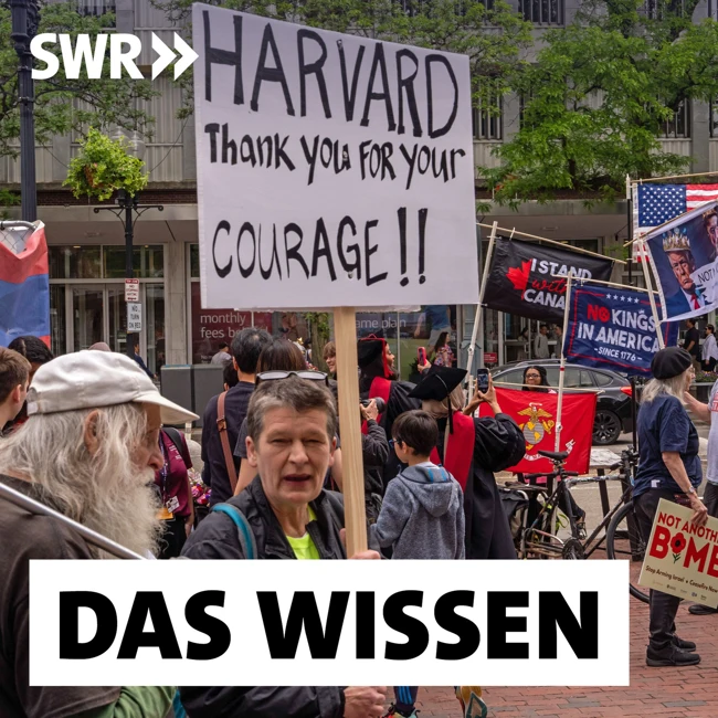 Trump gegen die Wissenschaft – Was wird aus dem Forschungsstandort USA?