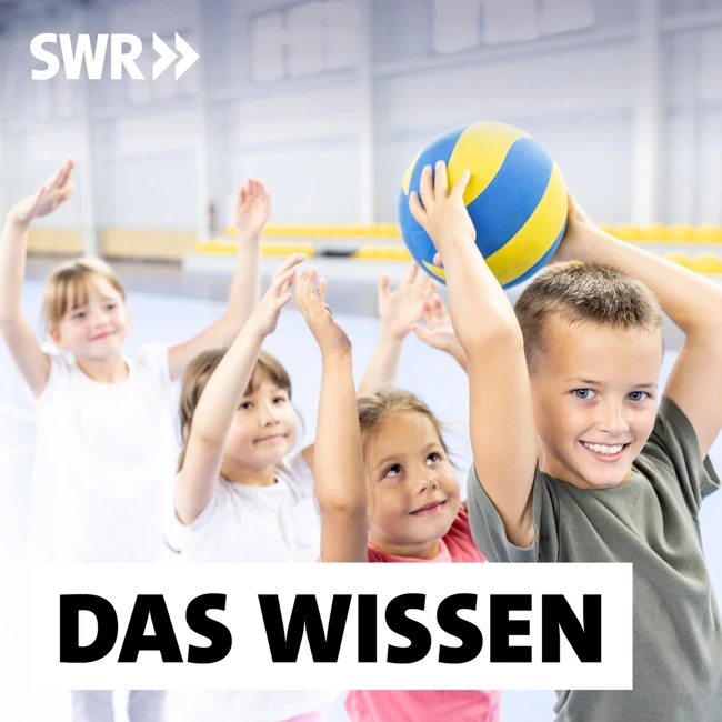 Sportunterricht ohne Druck – Mehr Teamgeist und individuelle Erfolge