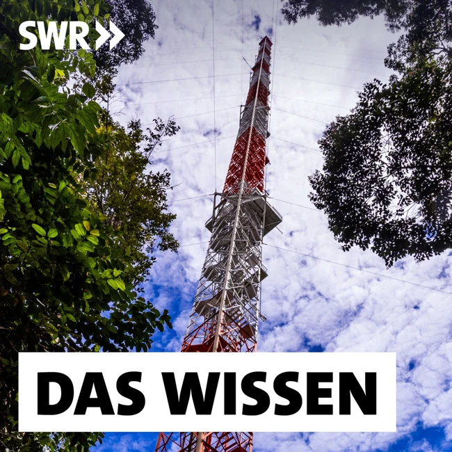 Klimafaktor Amazonas – Quelle für Treibhausgase?
