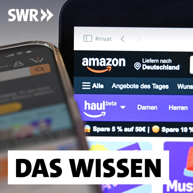 Preistreiber Amazon – Wie die Online-Plattform Produkte teurer macht