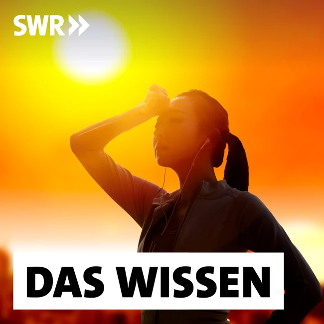 Hitze – Wann sie gefährlich wird und wie wir uns anpassen