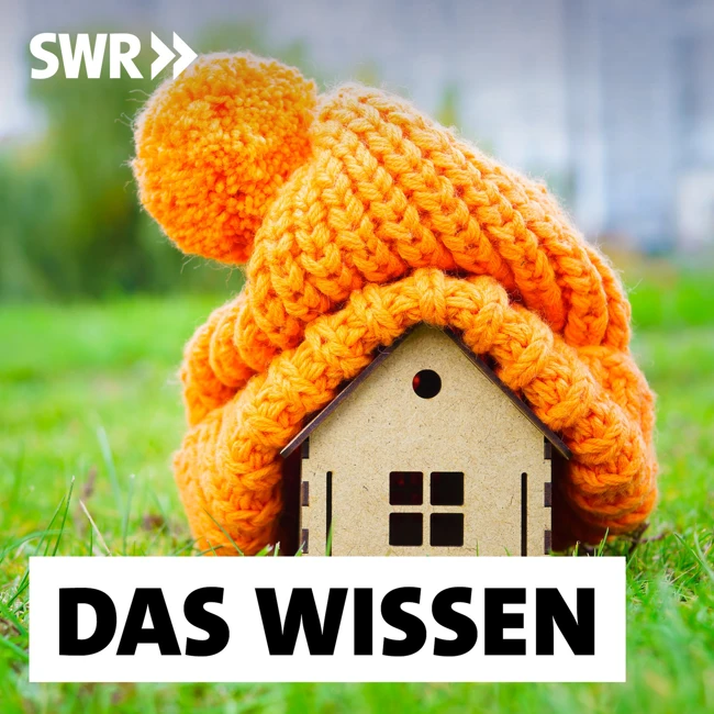 Wärmewende – Wie Gebäude schneller und gerechter saniert werden können