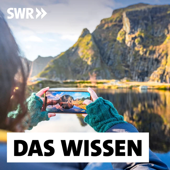 TikTok-Tourismus – Wie Reise-Influencer unseren Urlaub prägen