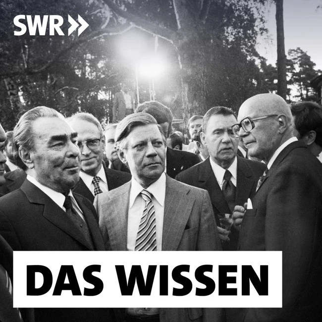 Vom Kalten Krieg bis heute – Taugt die OSZE als Friedensstifter?