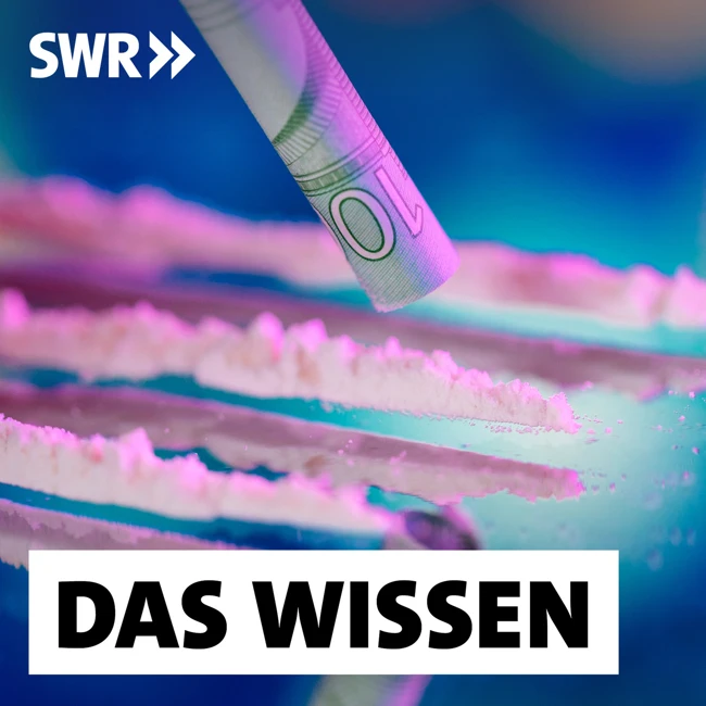 Nachgefragt: Kokain-Schwemme, Rauchverbote, Hai-Schutz, Mikroplastik im Körper