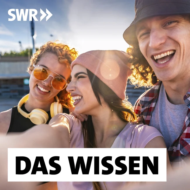 Vibes – Wann wir uns mit anderen wohlfühlen