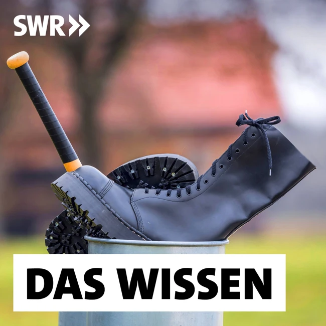 Raus aus dem Extremismus – Strategien für Rechte und Islamisten