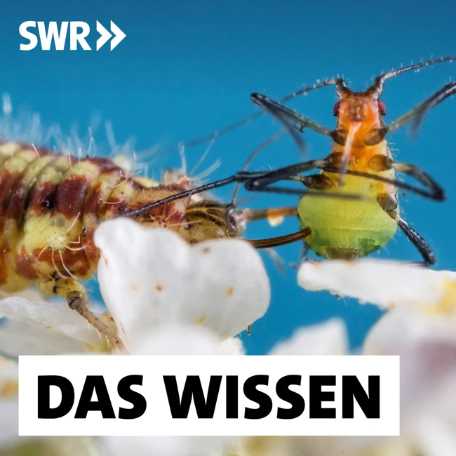 Biologischer Pflanzenschutz – Acker und Garten ohne Chemie